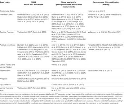 DNA Epigenetics in Addiction Susceptibility